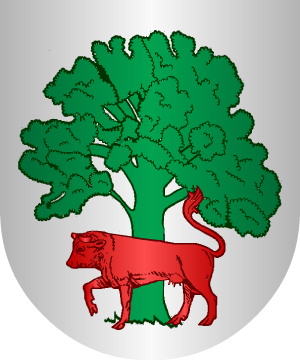 ESCUDO SIGUIENTE